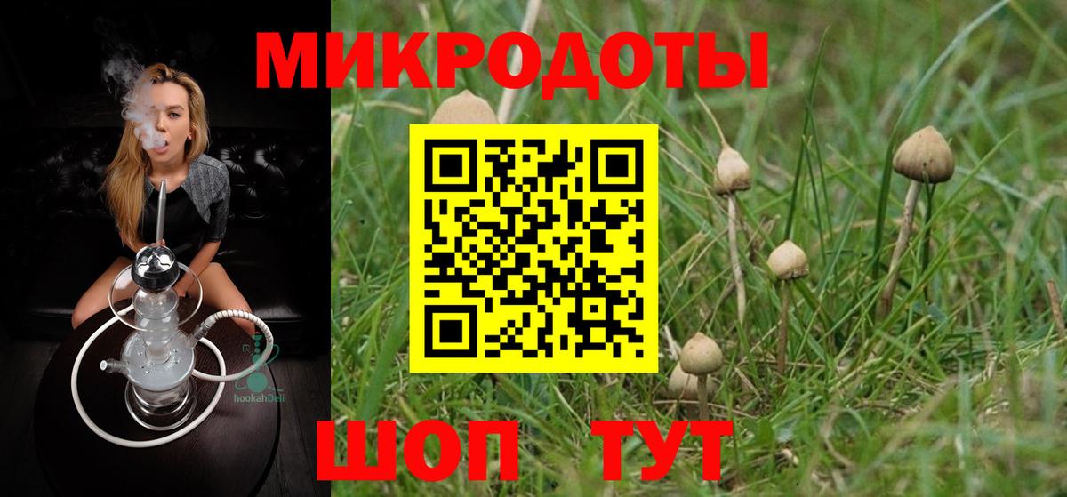 закладки  Вход с VPN  Донской  Галлюциногенные грибы Magic Shrooms  Псилоцибиновые грибы Psilocybe 